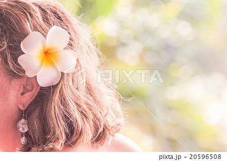 ハワイのイメージ プルメリア 花の髪飾りの写真素材 20596508 Pixta