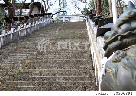 愛宕神社参道（東京） 20596891