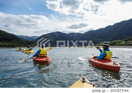 マングローブ 20597544