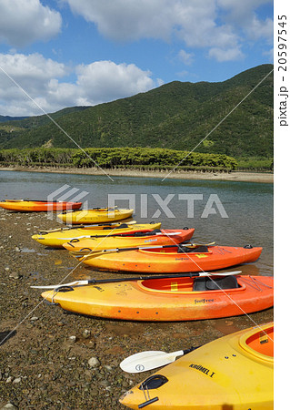 マングローブ 20597545