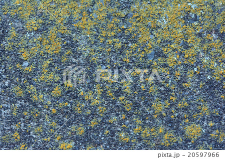 背景素材 背景素材 20597966