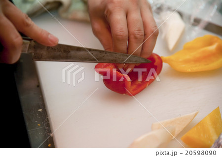 料理 料理 20598090