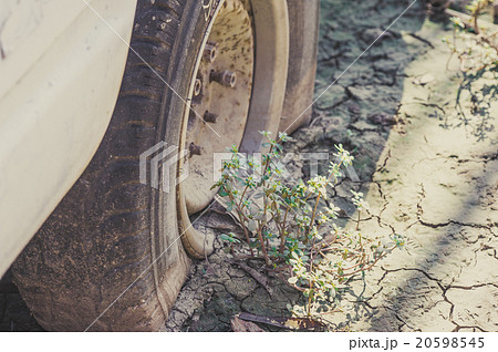 壊れた車と新しい芽 20598545
