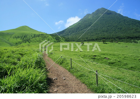 【由布岳】新緑の由布岳 【由布岳】新緑の由布岳 20598623