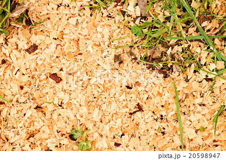Sawdust of alder wood with pieces of dry bark Sawdust of alder wood with pieces of dry bark 20598947