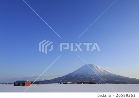 紅い小屋と羊蹄山 20599263