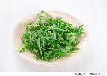 fresh arugula leaves in the plate fresh arugula leaves in the plate 20600130