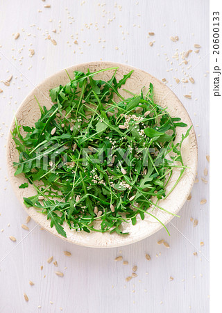 fresh arugula salad with seeds fresh arugula salad with seeds 20600133