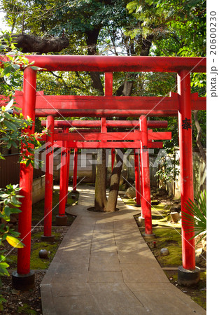 雑司ケ谷散歩:威光稲荷 雑司ケ谷散歩:威光稲荷 20600230