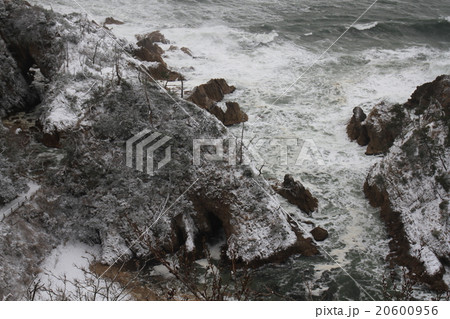 浦富海岸　5 20600956