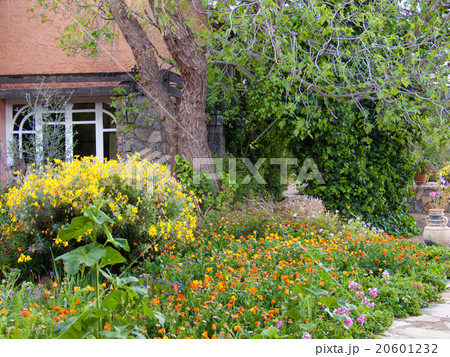 garden hotel 20601232