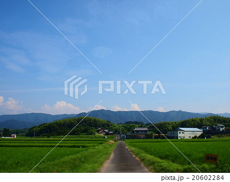 夏の田舎道 夏の田舎道 20602284