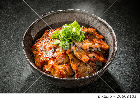 ブランド豚肉で作る豚丼 Delicious food of pork bowl Japan 20603103
