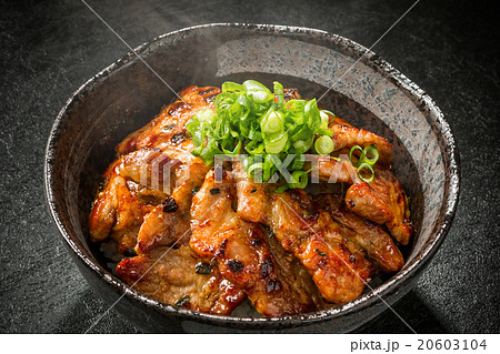 ブランド豚肉で作る豚丼 Delicious food of pork bowl Japan 20603104