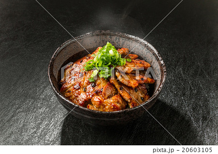 ブランド豚肉で作る豚丼 Delicious food of pork bowl Japan 20603105
