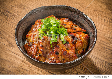ブランド豚肉で作る豚丼 Delicious food of pork bowl Japan 20603107