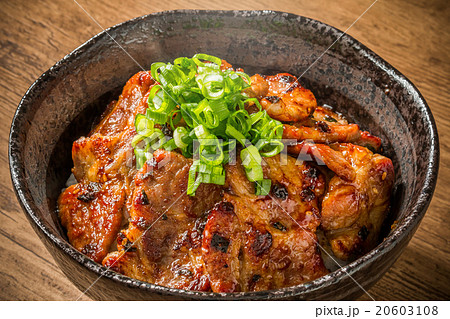 ブランド豚肉で作る豚丼 Delicious food of pork bowl Japan 20603108