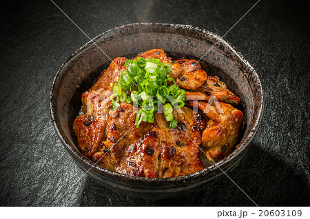 ブランド豚肉で作る豚丼 Delicious food of pork bowl Japan ブランド豚肉で作る豚丼 Delicious food of pork bowl Japan 20603109