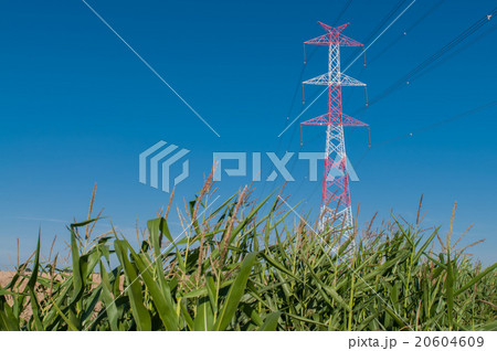 Pylon and transmission power line 20604609
