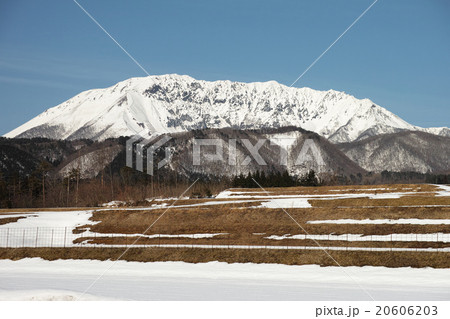 冬の大山　南西麓 20606203