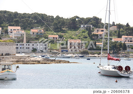 ラベンダーのプバル島 20606378