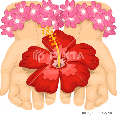Hands Floral Hawaiian Hibiscus Hands Floral Hawaiian Hibiscus 20607401