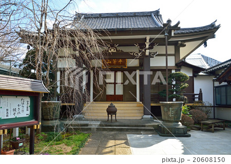 雑司ケ谷散歩：日蓮宗観静院 20608150