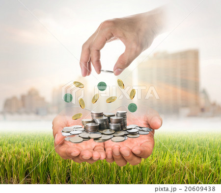Hand putting a coin in the stack of coins over the hands on rice Hand putting a coin in the stack of coins over the hands on rice 20609438
