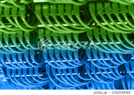 rows of network cable connected to router and switch hub in serv rows of network cable connected to router and switch hub in serv 20609690
