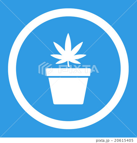 Cannabis Pot Rounded Vector Icon 20615405