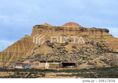Sheeps in Bardenas 20617838