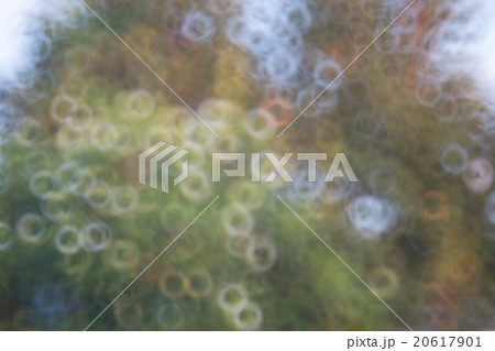 background background 20617901