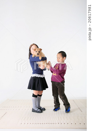 子供達と犬 家族 Pet Family 抱っこする女の子 男の子 女の子 Dogの写真素材