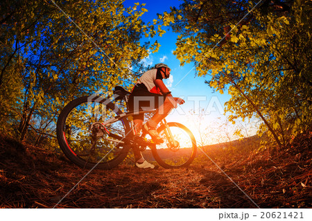 Cyclist riding mountain bike on trail at evening. Cyclist riding mountain bike on trail at evening. 20621421