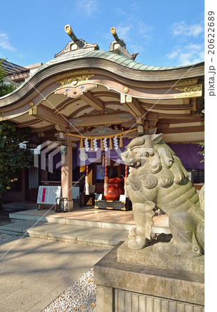 雑司ケ谷散歩：狛犬と社殿　大鳥神社 20622689