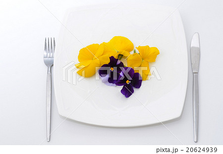 パンジーの花がのったお皿・エディブルフラワー 20624939