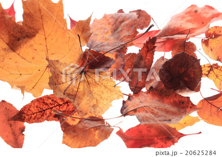 background texture of yellow leaves autumn leaf background background texture of yellow leaves autumn leaf background 20625284