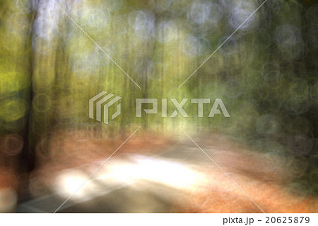 Autumn Park unfocused background Autumn Park unfocused background 20625879