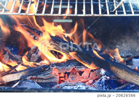 grilled salmon grilled salmon 20626566