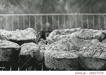 grilled salmon grilled salmon 20627179