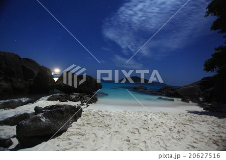 night landscape palm bay island 20627516