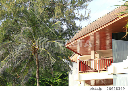 Asia Thailand jungle landscape Asia Thailand jungle landscape 20628349