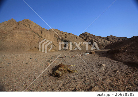 death desert drought stones death desert drought stones 20628585