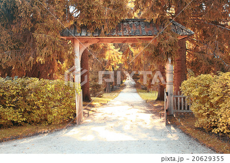 autumn landscape in Holland Park 20629355