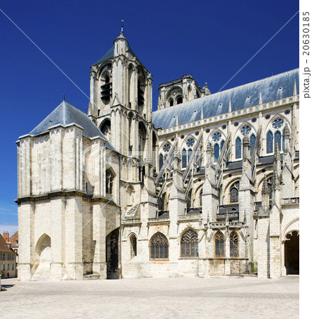 Cathedral Saint-Etienne, Bourges, Centre, France 20630185
