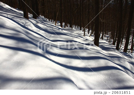 雪面のゼブラ模様 20631851