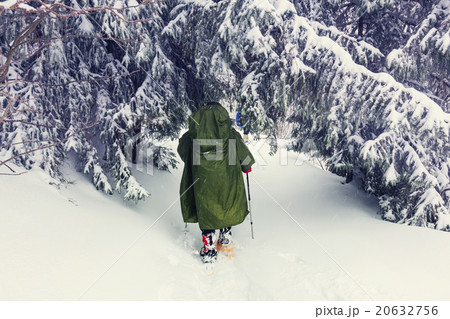 Winter hike Winter hike 20632756