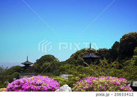 当麻寺春景 当麻寺春景 20633412