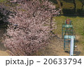 桜 20633794