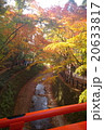 紅葉 20633817